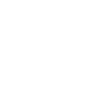 Attorneys Icon